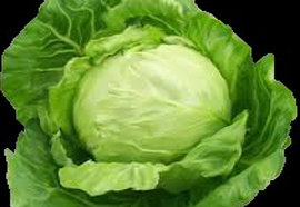 Cabbage - Brassica oleracea var. capitate