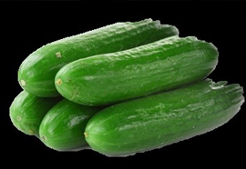 Cucumbers- Cucumis sativus