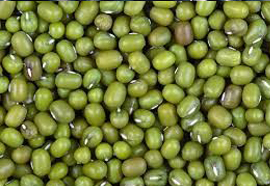 Green Gram (Mung bean)- Vigna radiate
