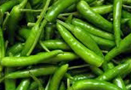 Chillies -Capsicum spp. (annuum)