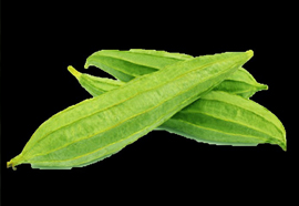 Ridge Gourd-  Luffa acutangula 