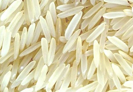 Rice Rice - Oryza sativa